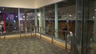 Tour of The Magic of Disney Animation (Disney's Hollywood Studios)