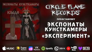 Экспонаты Кунсткамеры – Эксперимент