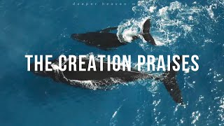 The Creation Praises - Spontaneous Instrumental #20 / Fundo Musical Espontâneo