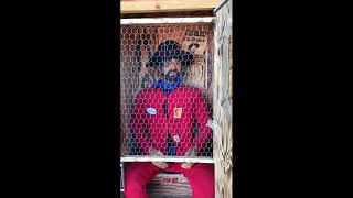 One Dollar Outhouse Adventure, Virginia City Nevada
