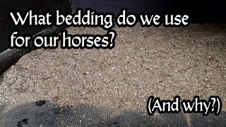 The easiest and most cost effective horse bedding (what we use and why)  / Equestrian VLOG