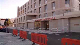 Pinscher left near death, woman attacked by two dogs. Elderly owner sentenced.