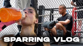 It might be too hot.... | SPARRING VLOG