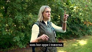 Vickys vilde verden - Vicky Knudsen (Reklame)