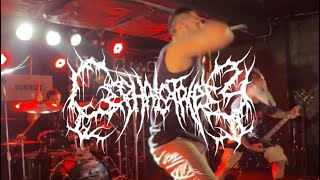 @CephalotripsyOfficial- arcane rites of the trans dimensional progeny live in tokyo | japan tour |