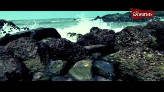The Dewarists - No I.D. Required