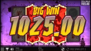 Børk the Berzerker (Thunderkick) online slot - free spins feature