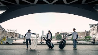CELLOBELLO: Virtuosity, Expression, Mastery, Education