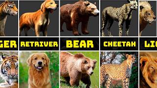 Tokyo Jungle Animals in Real Life