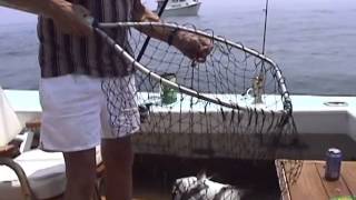 Saltwater Fishing With Dr  Jim - Spade Fishing