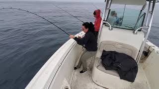 Carissa and her pet yellowfin tuna