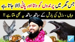 پرندوں کو دانا ڈالنے کی برکت