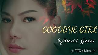 Goodbye Girl w/lyrics#Music Collection
