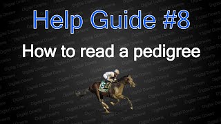 How to read horse pedigrees | Help guide #8 ✅