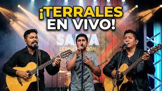 Terrales lo Dejó Todo: Así Suena el Folklore en Salta Hoy