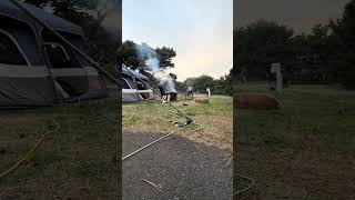 Wet wood makes a smokey fire. Good flavor on these Vegan Snausages. 