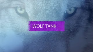 Wolf Tank - Rough Ronnie and Erin judge emerging business opportunities