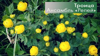 Троица. Репей.
