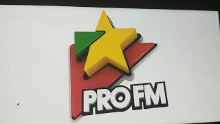 PRO FM Logo