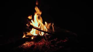Fireplace Crackling | 1 Hour | Study / Relax / Sleep | Cozy Fire Ambience