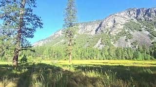 #travellersautobaum #Yosemite #elcapitian