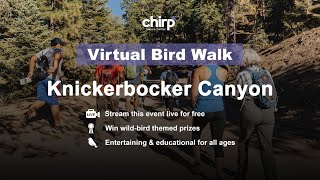 Big Bear Lake Birding: Knickerbocker Canyon | Sept. 8th, 2021