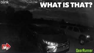 What Is This?… The Most Paranormal Thing I’ve Ever Seen!