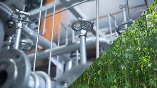 Can Hemp Cryo-milling Transform Sustainable Energy and the Bioeconomy?