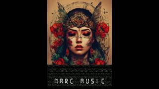 Party Music 244 | Audio Background Music by Level_Narc