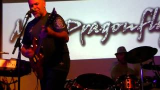 Mojo Dragonfly performing Change The World
