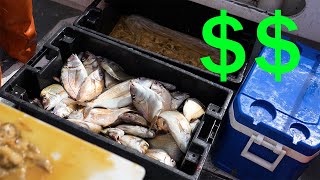 How to Make MONEY While Fishing!! (Commercial Fishing Trip)