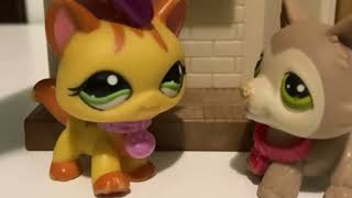 LPS- Willow And Tyler Character Short 