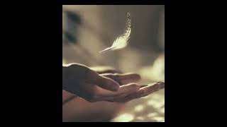 Healing Is All Around You