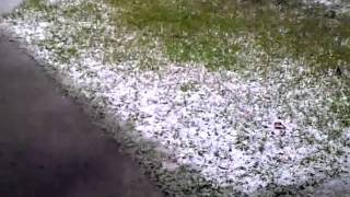 VID-20110226-00005.3GP