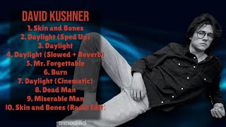 David Kushner-Hits that captured hearts in 2024-Leading Hits Collection-United