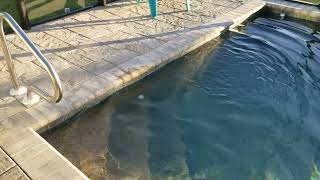 Pool Volcano