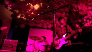 PAWS at Glasslands Gallery, Brooklyn