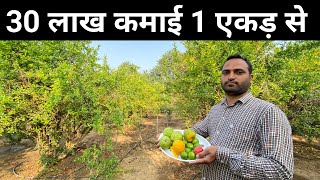 खेती से पैसा छापना इनसे सीखो | Farming business model | Organic farming in India | Rajasthan Visit