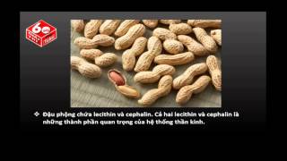 Thực Phẩm Bổ Não - Điều Ai Cũng Cần Biết