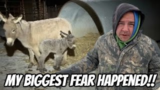 We Tried So Hard To Protect All The Animals!!