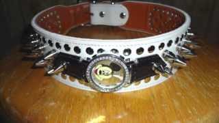 Spiked Mickey Says Hello to Pink Kitty - WatchDog Collars by Clazi