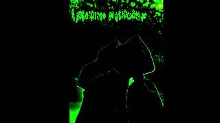 Elephant Phallus Rhapsody - EJP Official Reupload