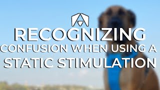 RECOGNIZING When Your Dog is CONFUSED from Static Stimulation