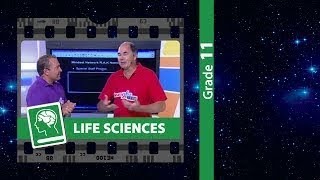 Importance of Invertebrates