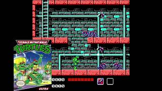 Teenage Mutant Ninja Turtles - Track 1 [Best of NES OST]