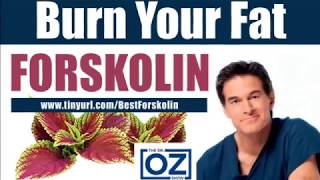 active Forskolin dr oz-active Forskolin shark tank-active Forskolin walmart 2019