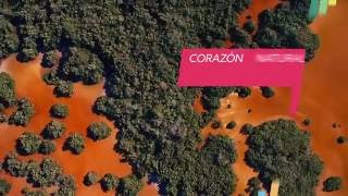 SPOT MEDIO AMBIENTE PRIMER INFORME