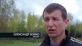 Ukraine Cropt Resipts