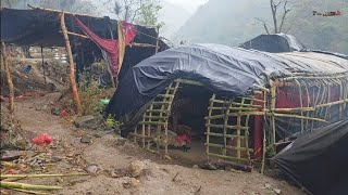 Real Life in a Nepali Mountain Village During Rainy Season 🌧️ | Pure Organic Living 🇳🇵