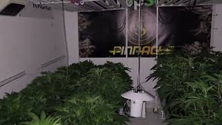 Day 1F